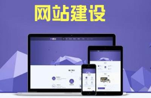 专业阳谷网站建设公司、阳谷网站推广找聊城新锐网络